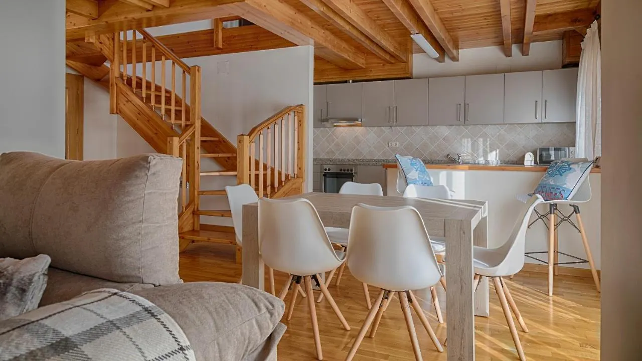 Saplan Real Estate Laujo Apartment Bossost