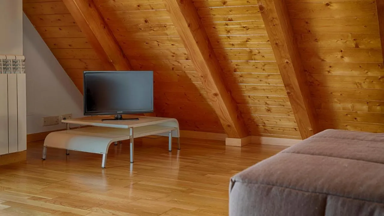 Saplan Real Estate Laujo Apartment Bossost